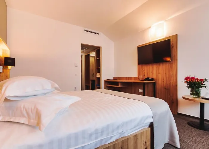 Hotel Domnitei